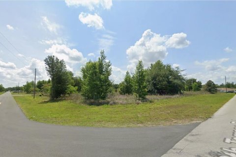 Terrain à vendre à Ocala, Floride № 2371426 - photo 2