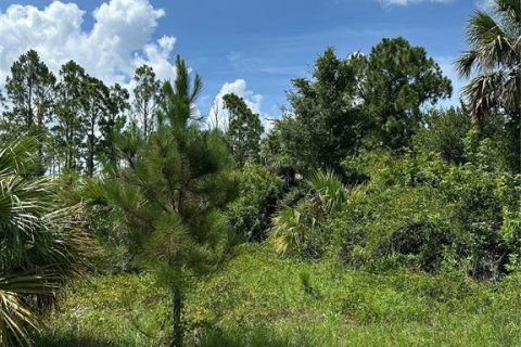 Land in North Port, Florida № 2385933 - photo 9