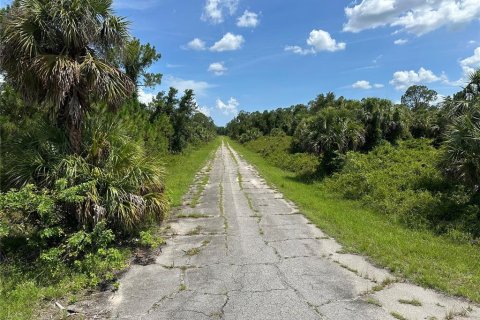 Land in North Port, Florida № 2385933 - photo 3