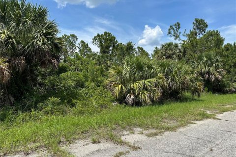 Land in North Port, Florida № 2385933 - photo 5