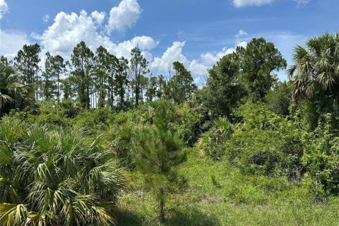 Land in North Port, Florida № 2385933 - photo 4