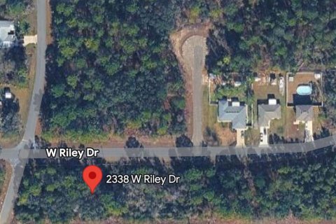 Land in Citrus Springs, Florida № 2159402 - photo 2