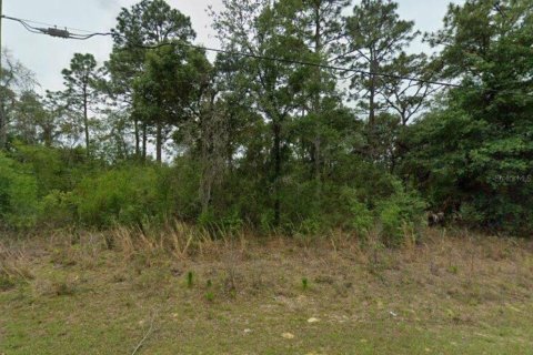 Land in Citrus Springs, Florida № 2159402
