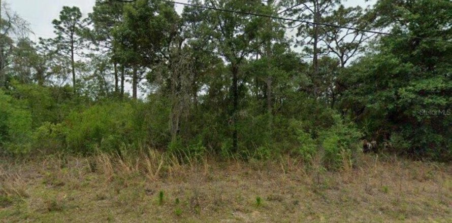 Land in Citrus Springs, Florida № 2159402