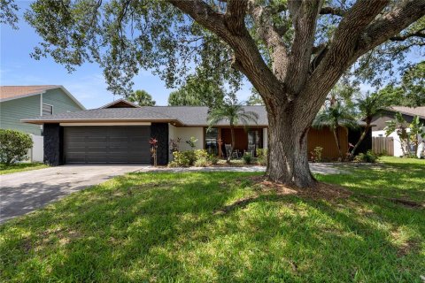 House in Tampa, Florida 3 bedrooms, 147.62 sq.m. № 1762041 - photo 1