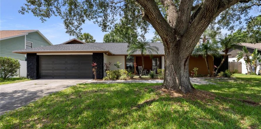 House in Tampa, Florida 3 bedrooms, 147.62 sq.m. № 1762041