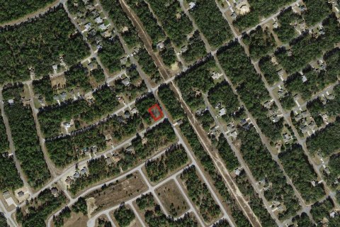 Land in Citrus Springs, Florida № 2159627 - photo 4