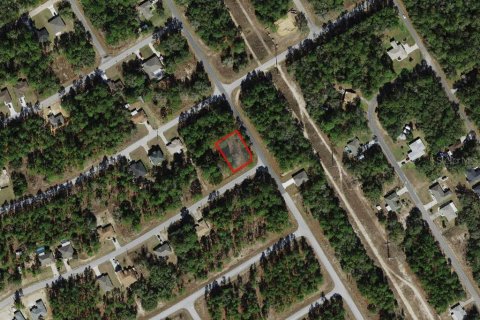 Land in Citrus Springs, Florida № 2159627 - photo 2