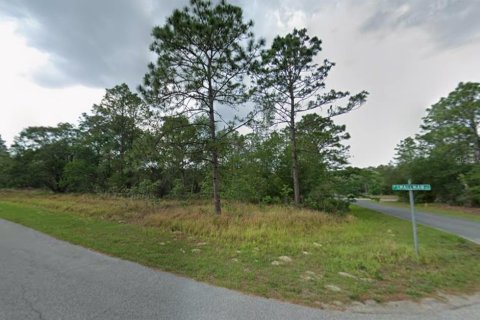 Land in Citrus Springs, Florida № 2159627 - photo 3
