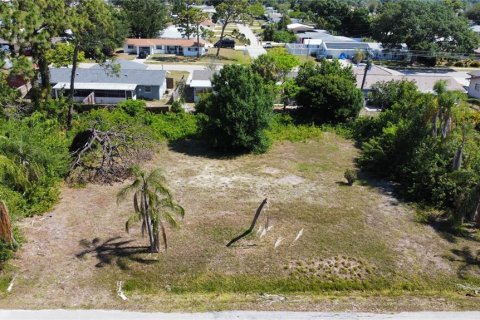 Terreno en venta en Venice, Florida № 1201351 - foto 10