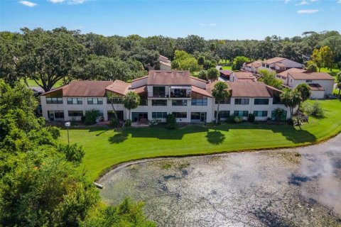 Condo à Mount Dora, Floride, 3 chambres  № 2113921