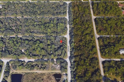 Land in Port Charlotte, Florida № 2164228 - photo 5