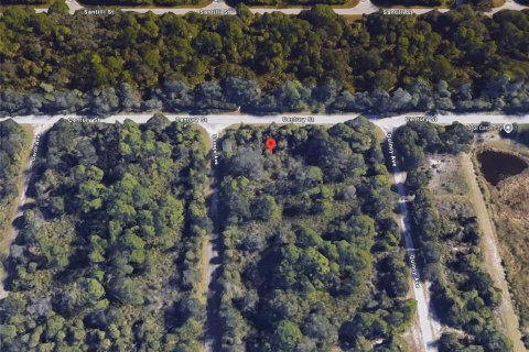 Land in Port Charlotte, Florida № 2164228 - photo 2