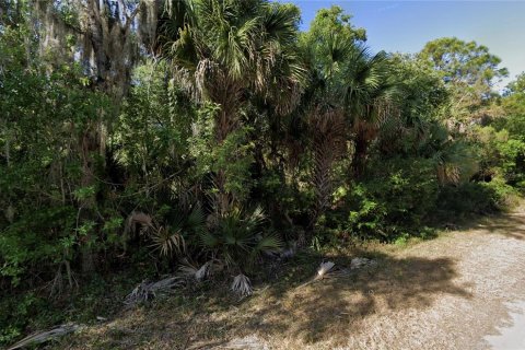 Land in Port Charlotte, Florida № 2164228 - photo 6