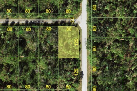 Land in Port Charlotte, Florida № 2164228