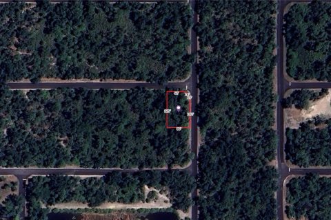 Land in Port Charlotte, Florida № 2164228 - photo 10