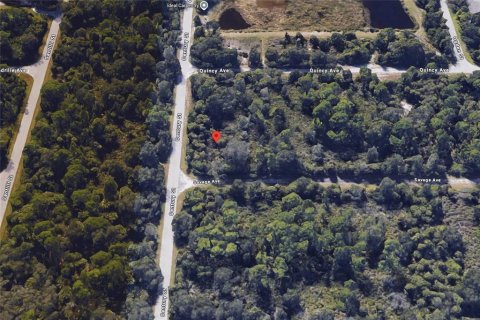 Land in Port Charlotte, Florida № 2164228 - photo 3