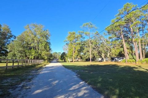 Land in Homosassa, Florida № 2159143 - photo 4