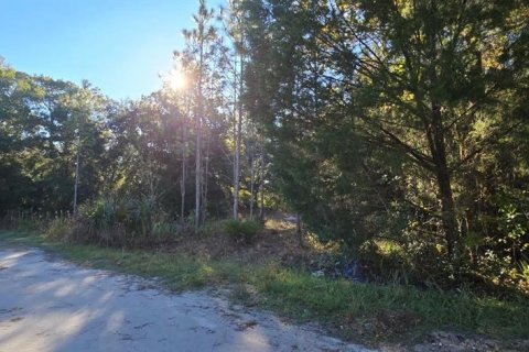Land in Homosassa, Florida № 2159143