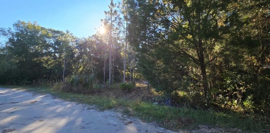 Land in Homosassa, Florida № 2159143