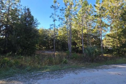 Land in Homosassa, Florida № 2159143 - photo 2