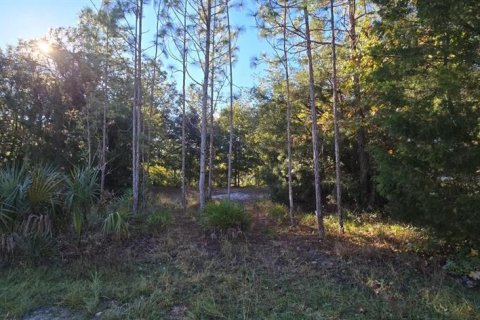 Land in Homosassa, Florida № 2159143 - photo 3