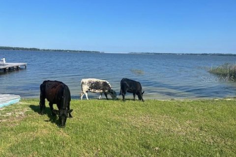 Land in Astatula, Florida № 2133811 - photo 4