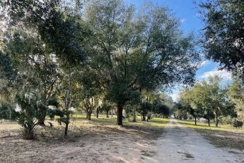 Land in Astatula, Florida № 2133811 - photo 7