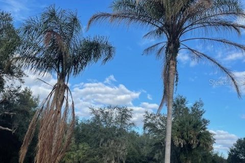 Land in Astatula, Florida № 2133811 - photo 10