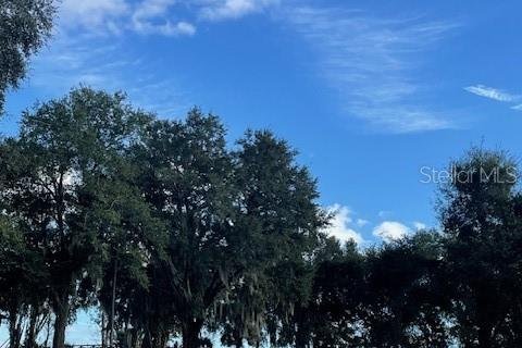 Land in Astatula, Florida № 2133811 - photo 11