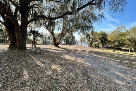 Land in Astatula, Florida № 2133811 - photo 8