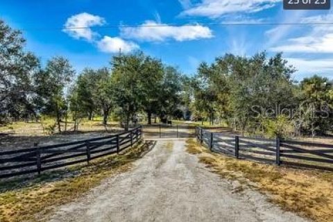 Land in Astatula, Florida № 2133811 - photo 6