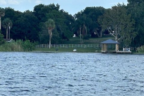 Land in Astatula, Florida № 2133811 - photo 14