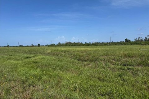 Terreno en Placida, Florida № 2218495