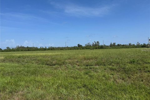 Terrain à vendre à Placida, Floride № 2218495 - photo 3