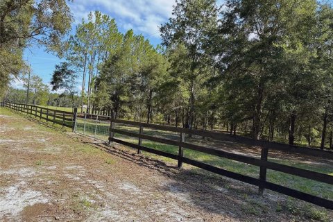 Land in Fort White, Florida № 1908769 - photo 8