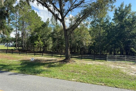 Land in Fort White, Florida № 1908769 - photo 6