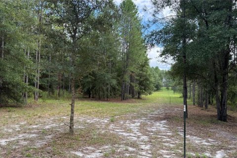 Land in Fort White, Florida № 1908769 - photo 13