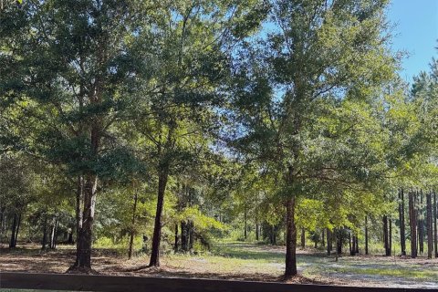 Land in Fort White, Florida № 1908769 - photo 9