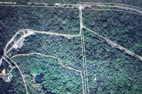 Land in Fort White, Florida № 1908769 - photo 17