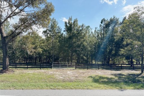 Land in Fort White, Florida № 1908769 - photo 2