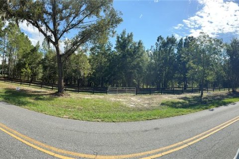 Land in Fort White, Florida № 1908769 - photo 4