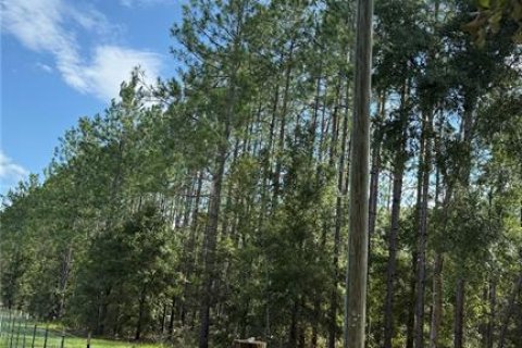 Land in Fort White, Florida № 1908769 - photo 12