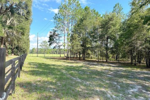 Land in Fort White, Florida № 1908769 - photo 11