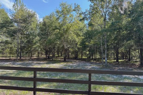 Land in Fort White, Florida № 1908769 - photo 5