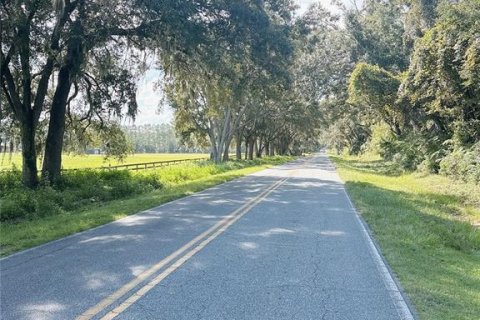 Land in Fort White, Florida № 1908769 - photo 3