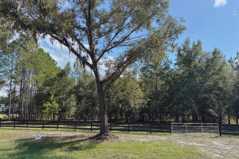 Land in Fort White, Florida № 1908769 - photo 1