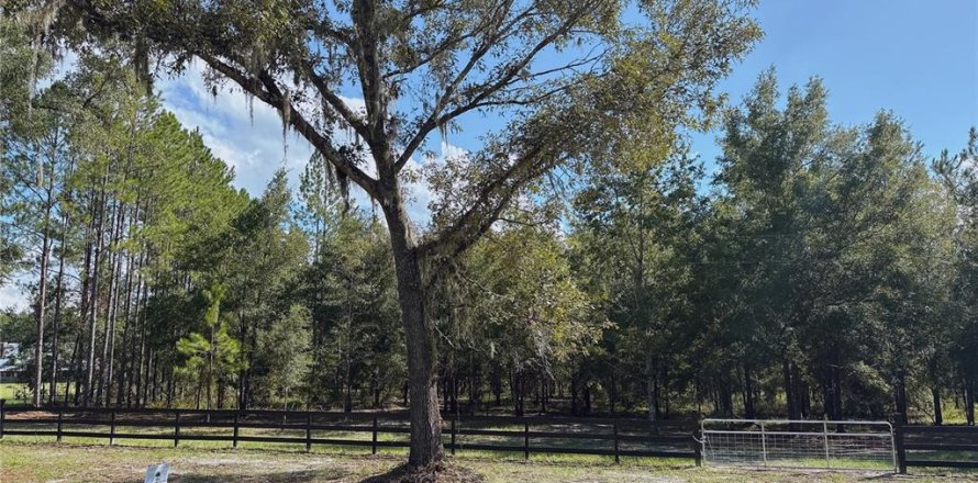 Terreno en Fort White, Florida № 1908769