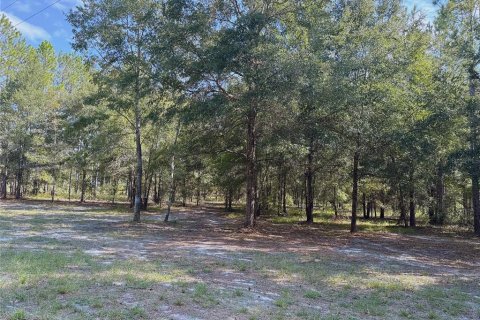 Land in Fort White, Florida № 1908769 - photo 10