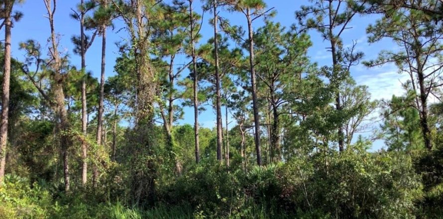 Land in Orlando, Florida № 1834648